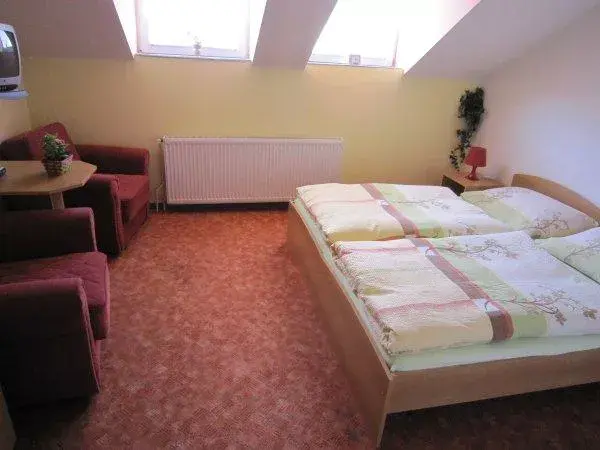 Photo 2 of Penzion Lionetta